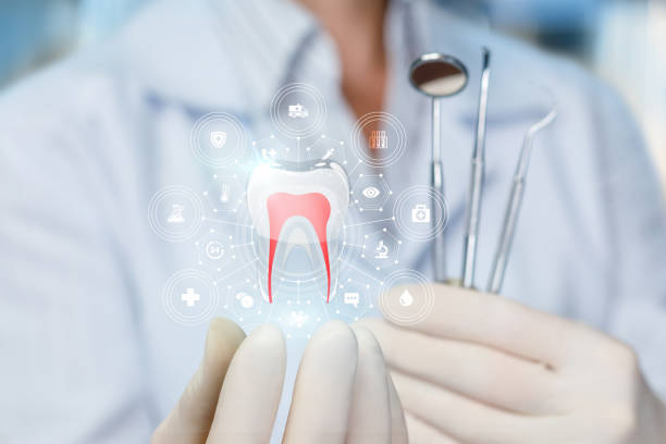 Best Pediatric Dentistry  in Grantsburg, WI